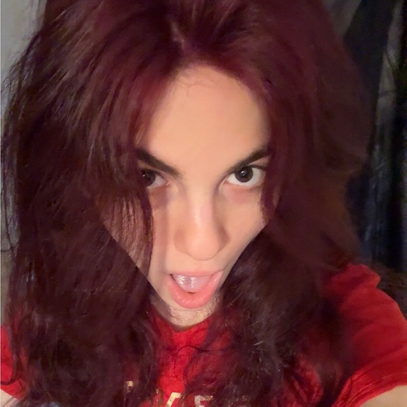 lavendercat6